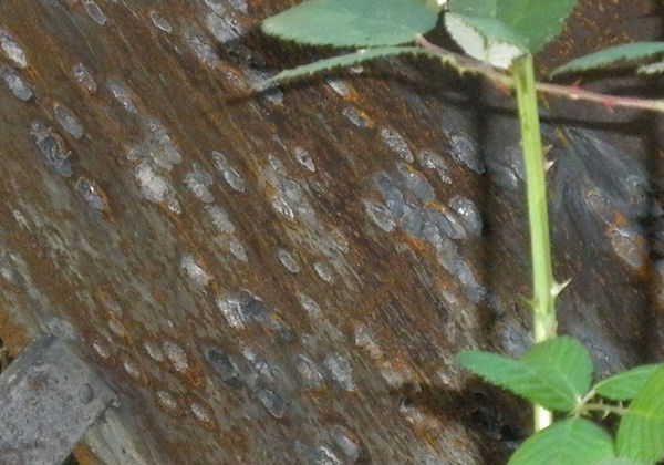 Shooting House-Exterior